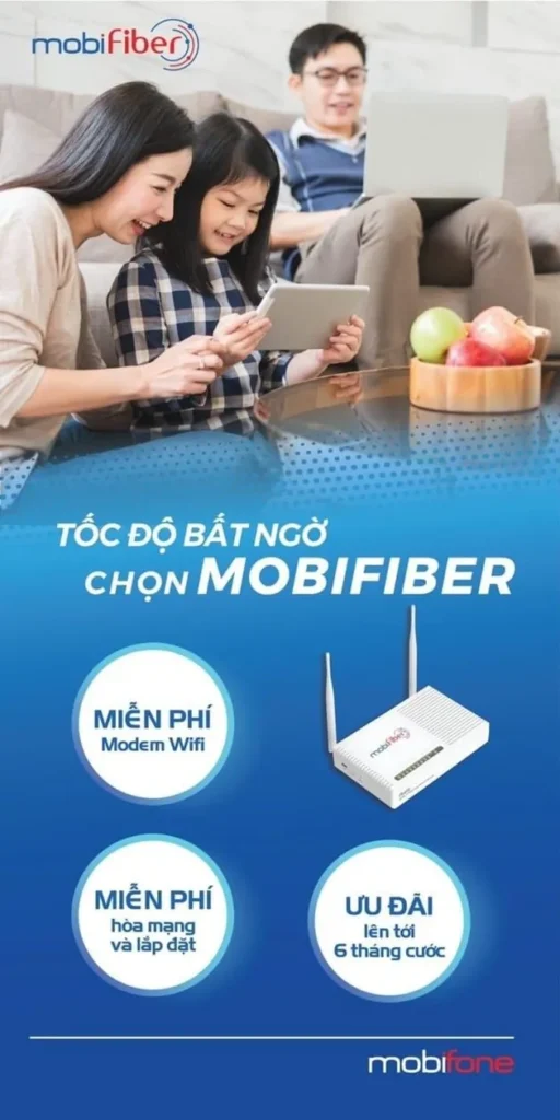 Mobifone Bình Định